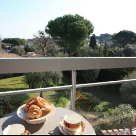 公寓 One Bedroom Flat In The Centre Of Cap D'antibes *
